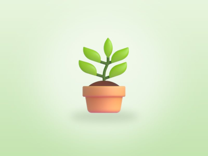 Nursery Plants