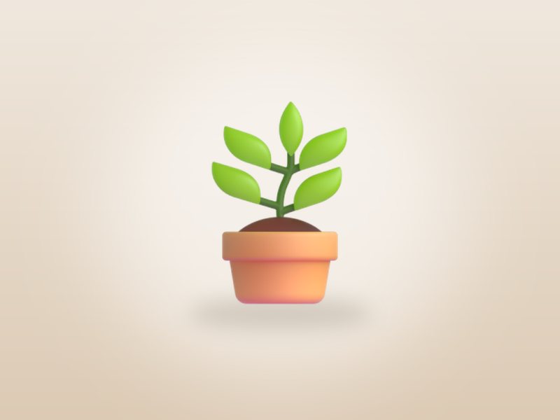 Indoor Plant with Pot
